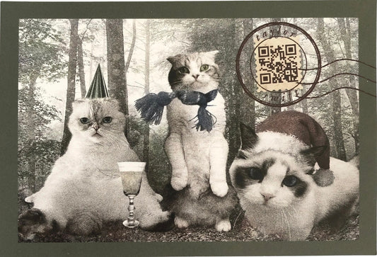 Taylor Swift cat postcard