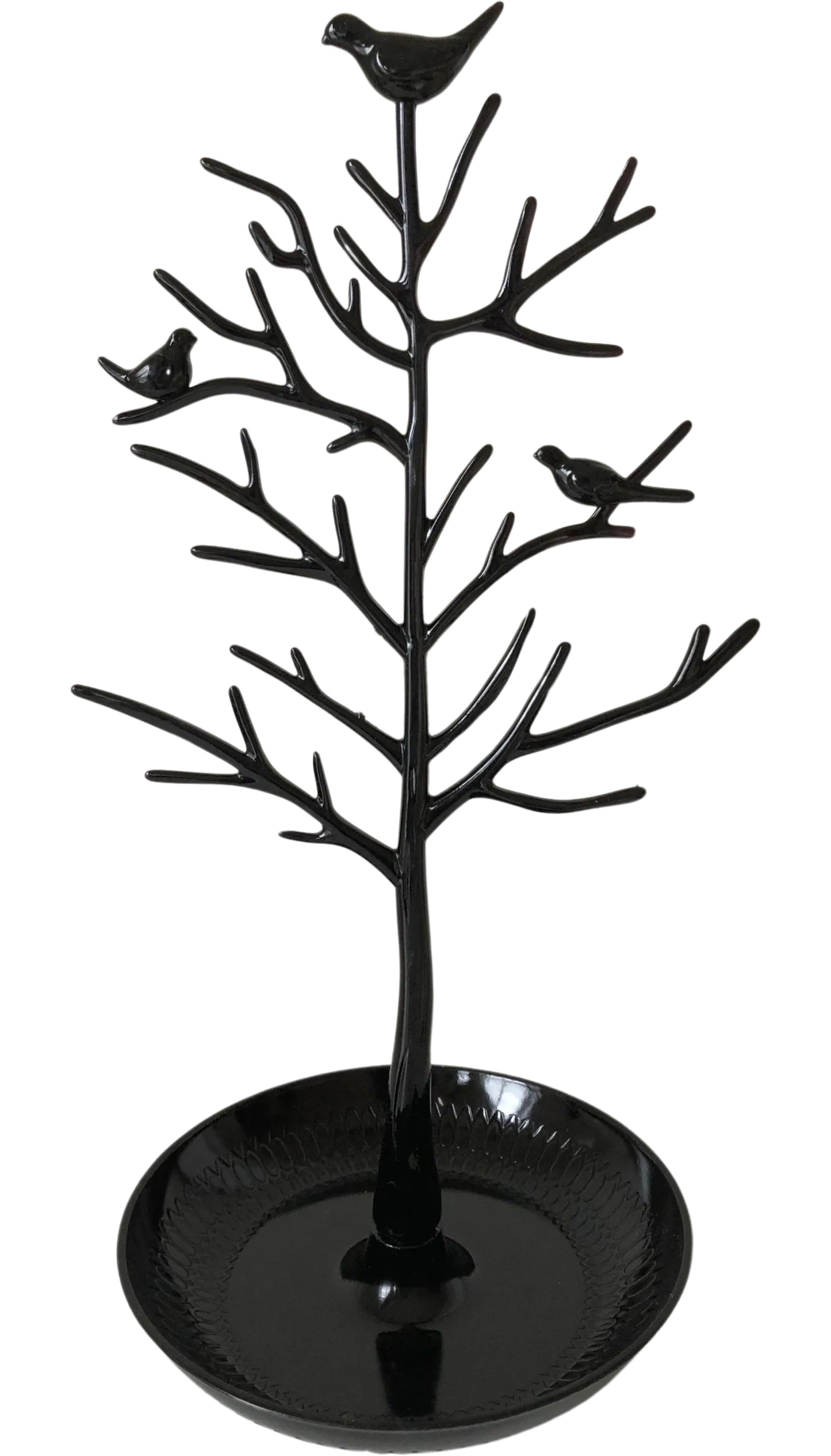 Acacia (tree) display stand